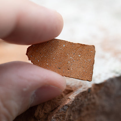 Dracula Castle Brick 🦇