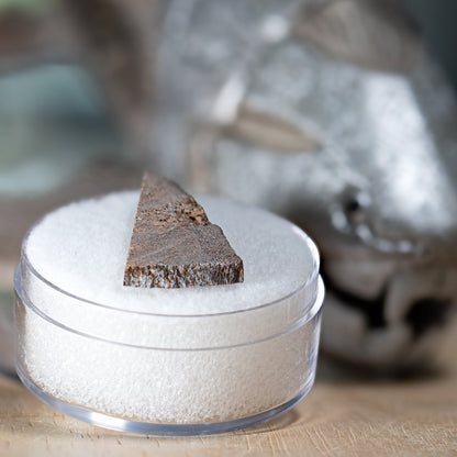 Dunkleosteus - Skull Fossil Fragment