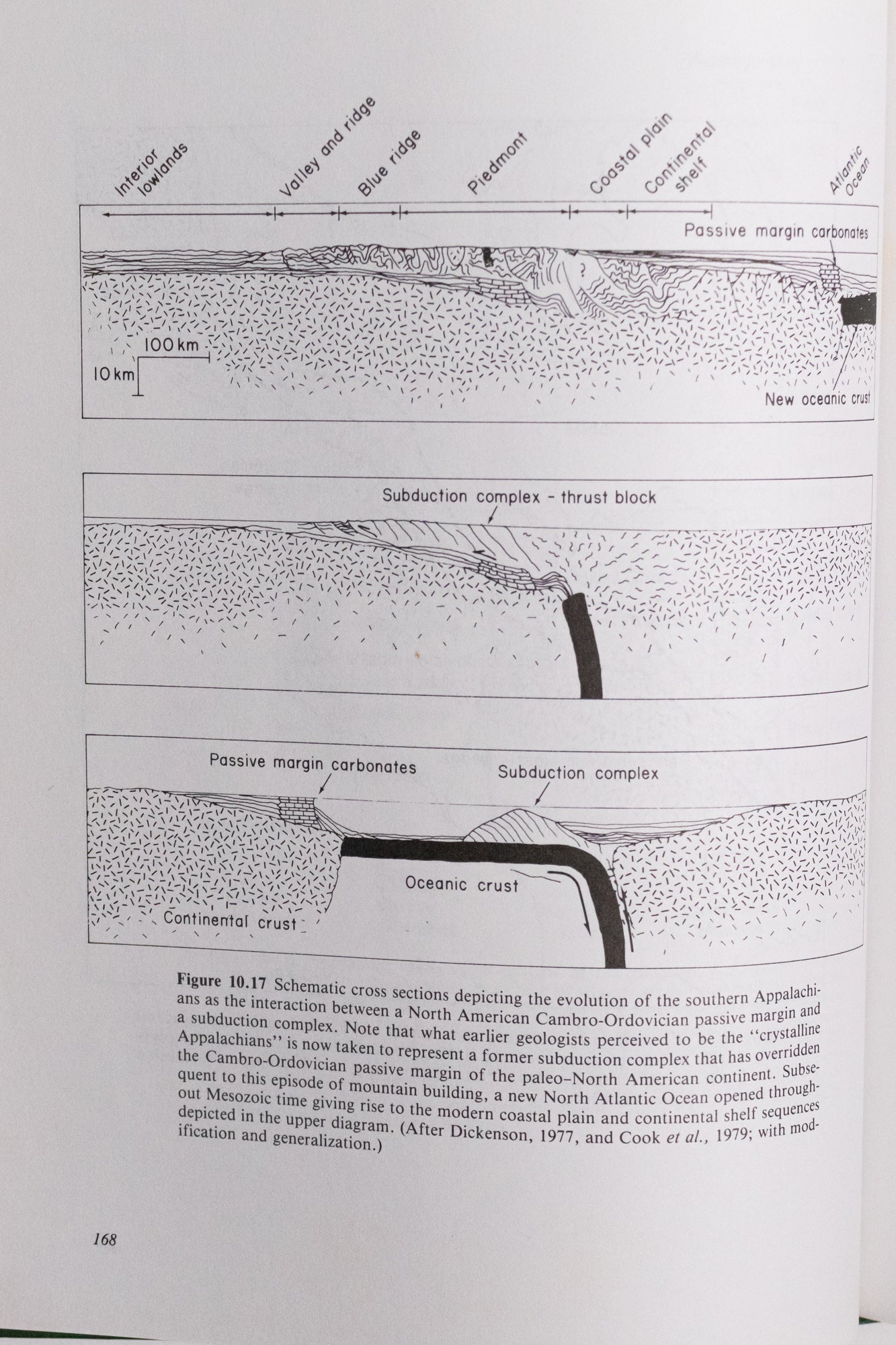 Dynamic Stratigrpaphy: An Introduction to Stratigraphy and Sedimentation Books Stemcell Science Shop