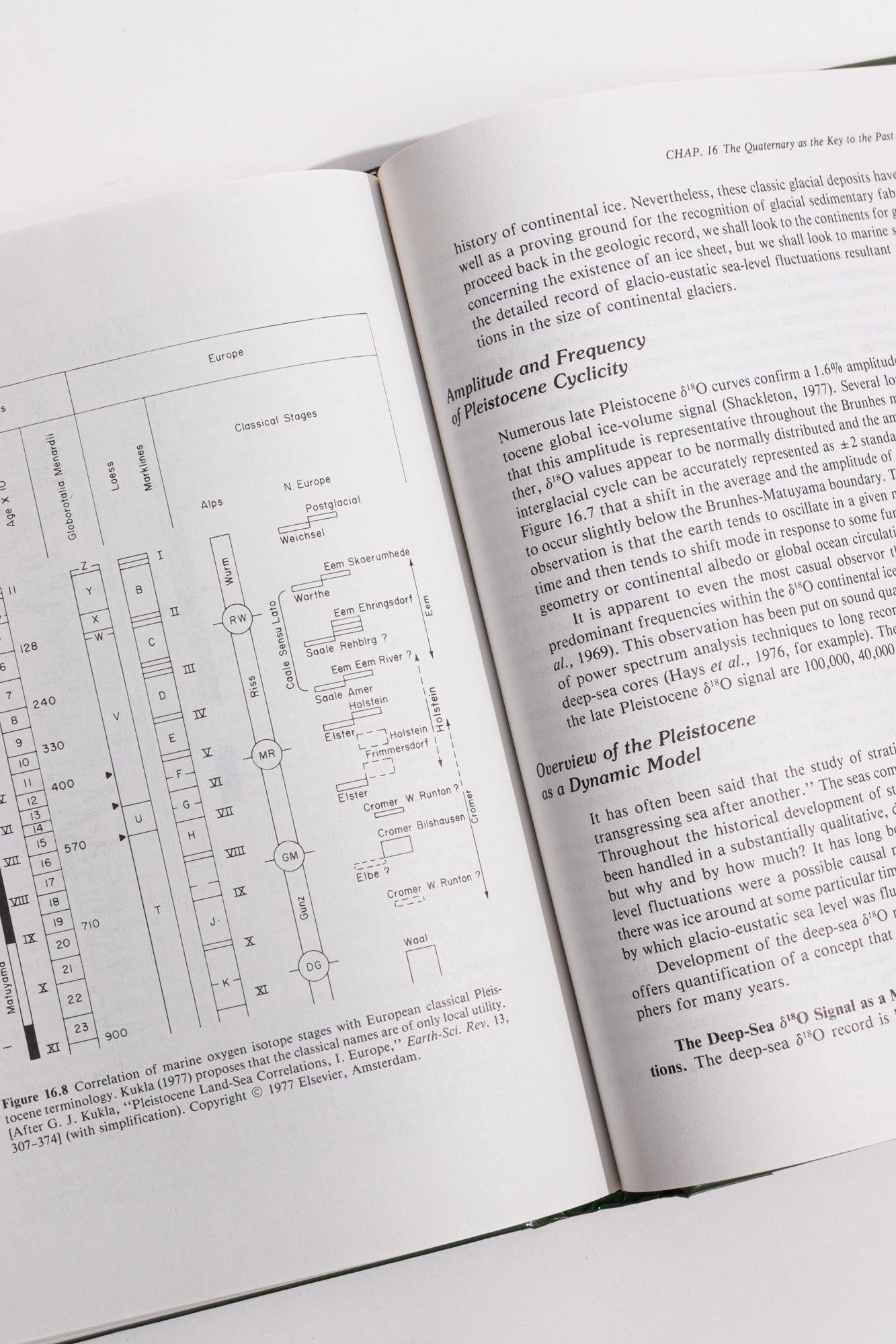 Dynamic Stratigrpaphy: An Introduction to Stratigraphy and Sedimentation Books Stemcell Science Shop