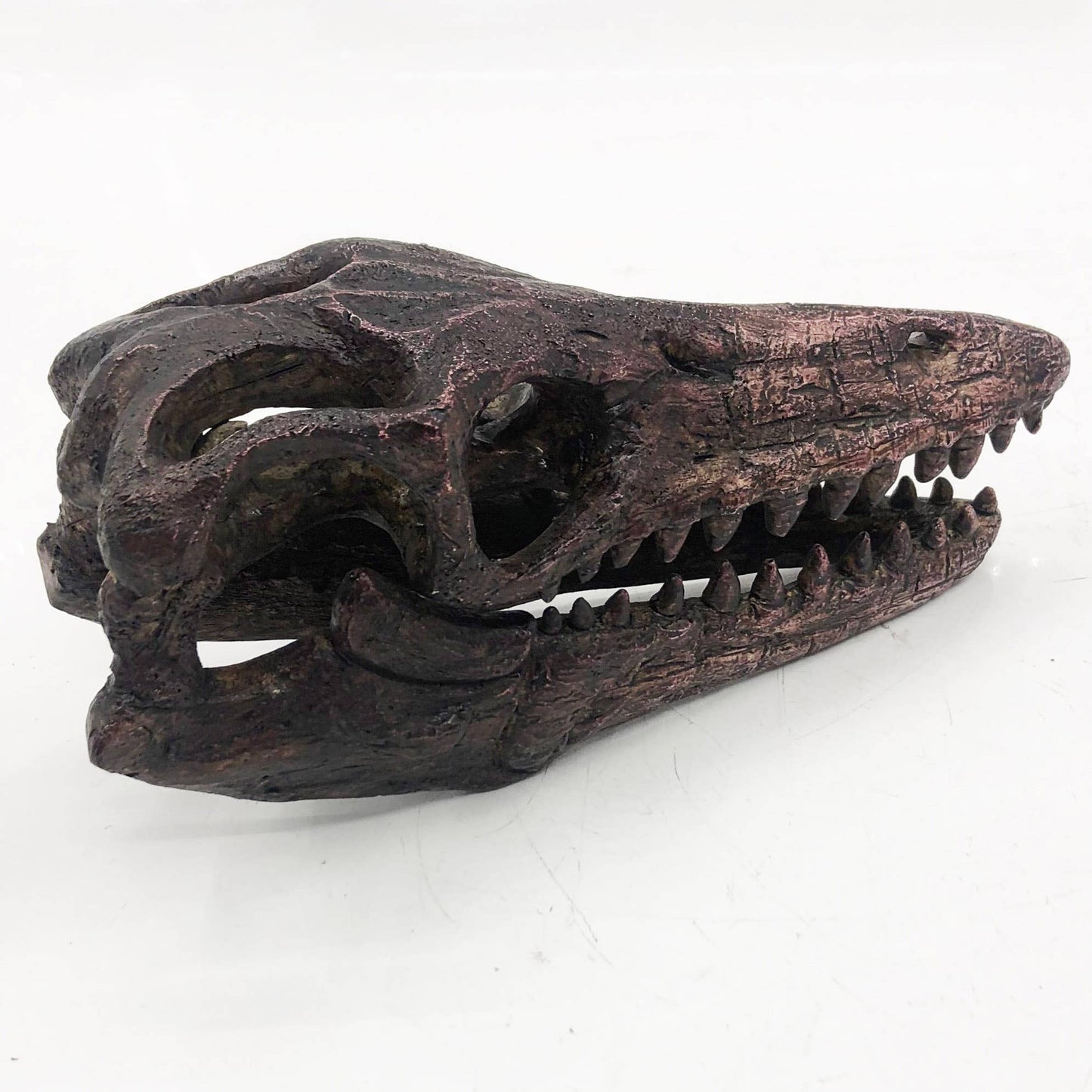 Replica Mosasaurus Mini Dinosaur Fossil Skull - Stemcell Science Shop