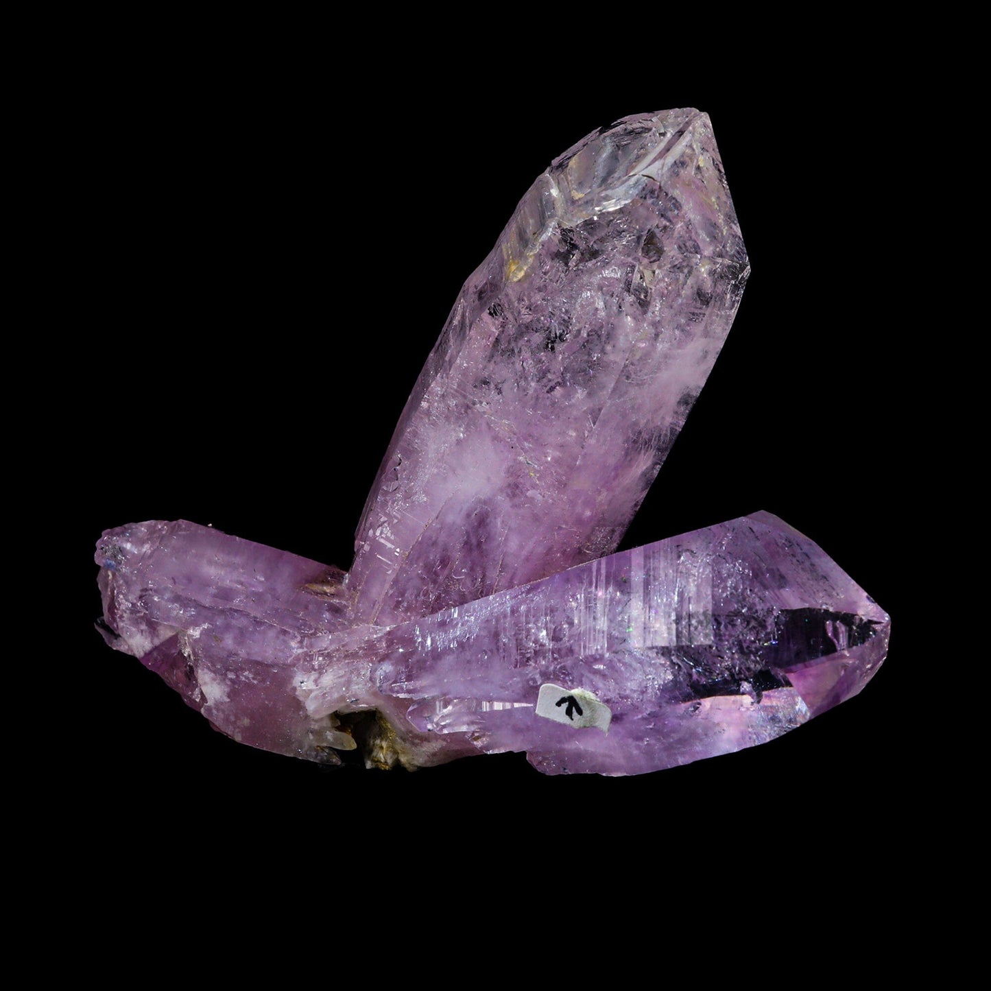 Enhydro Vera Cruz Amethyst Natural Mineral Specimen