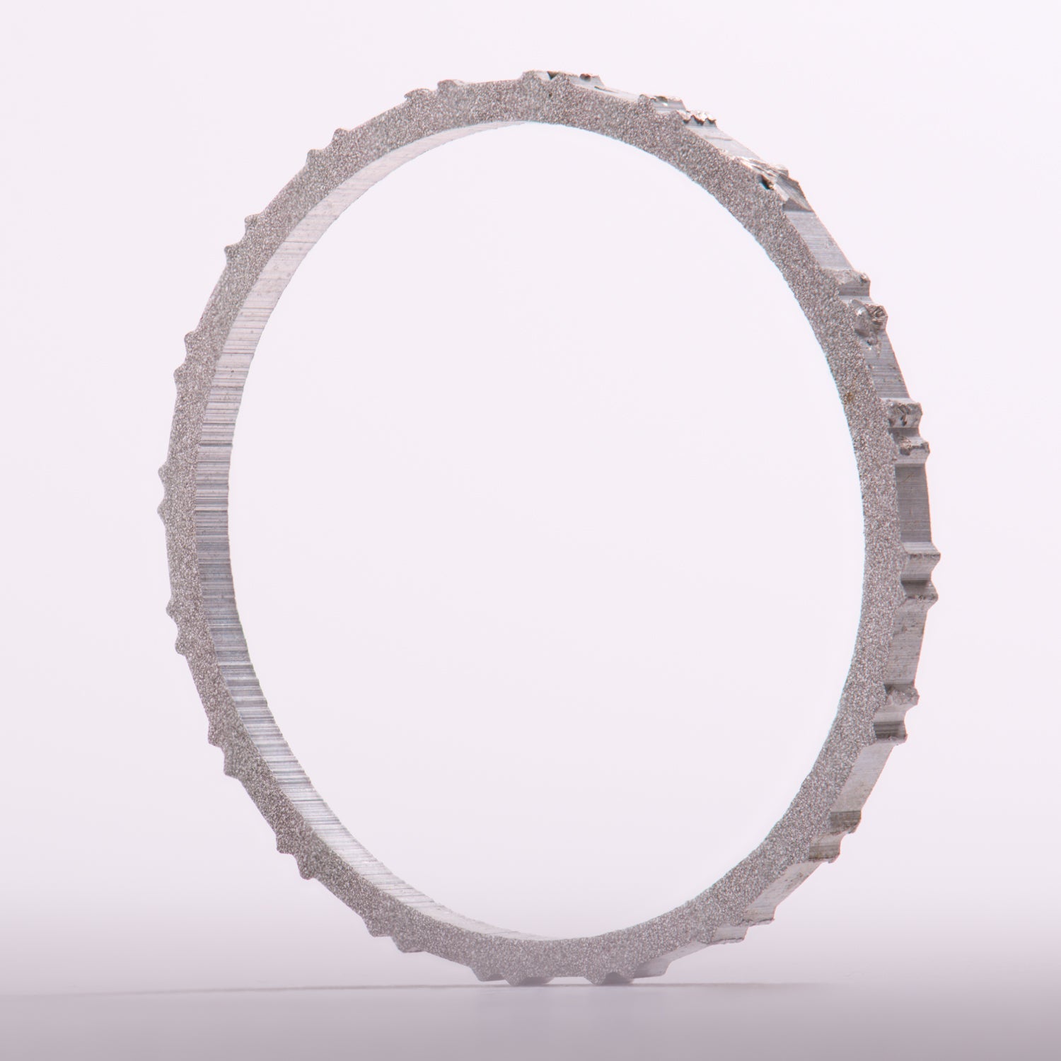 Mount Everest Ladder Rung