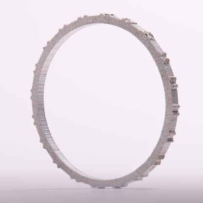 Mount Everest Ladder Rung