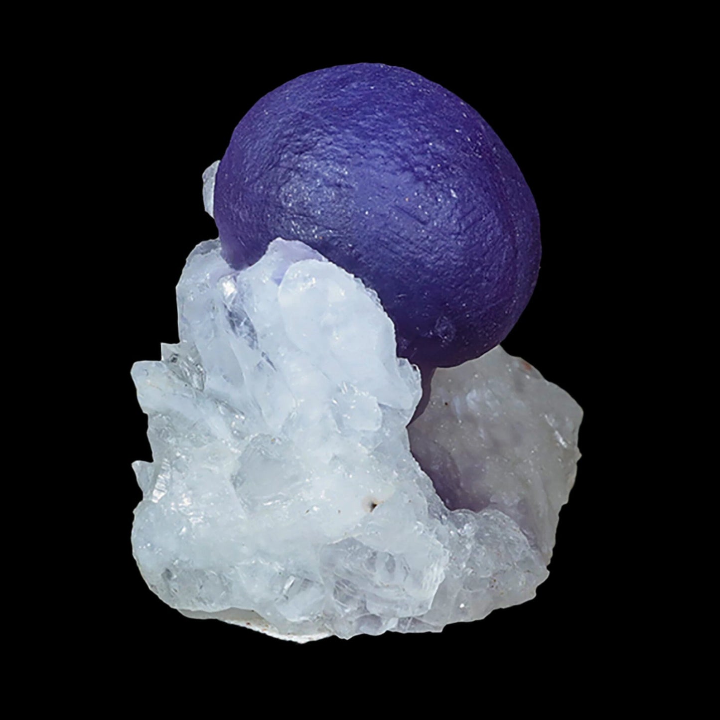 Extremely Rare Dark Purple Botryoidal Fluorite Natural Mineral Specimen, Default Title at Stemcell Science Shop