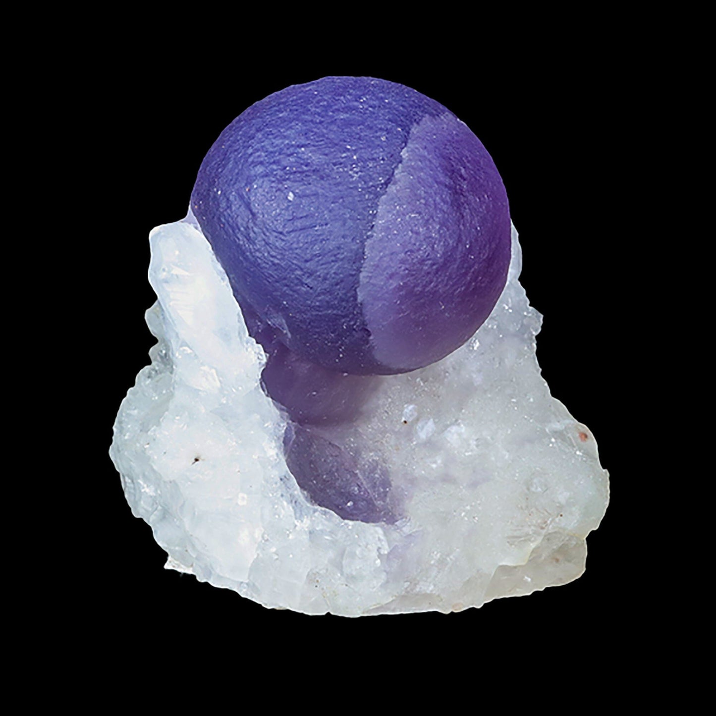 Extremely Rare Dark Purple Botryoidal Fluorite Natural Mineral Specimen, Default Title at Stemcell Science Shop