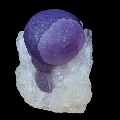 Extremely Rare Dark Purple Botryoidal Fluorite Natural Mineral Specimen, Default Title at Stemcell Science Shop