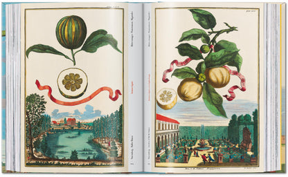 J. C. Volkamer. The Book of Citrus Fruits. 45th Ed. (German, French, English)