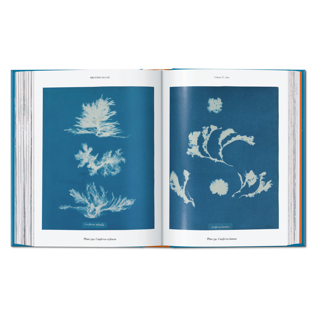 Anna Atkins. Cyanotypes. 45th Ed. (German, French, English)
