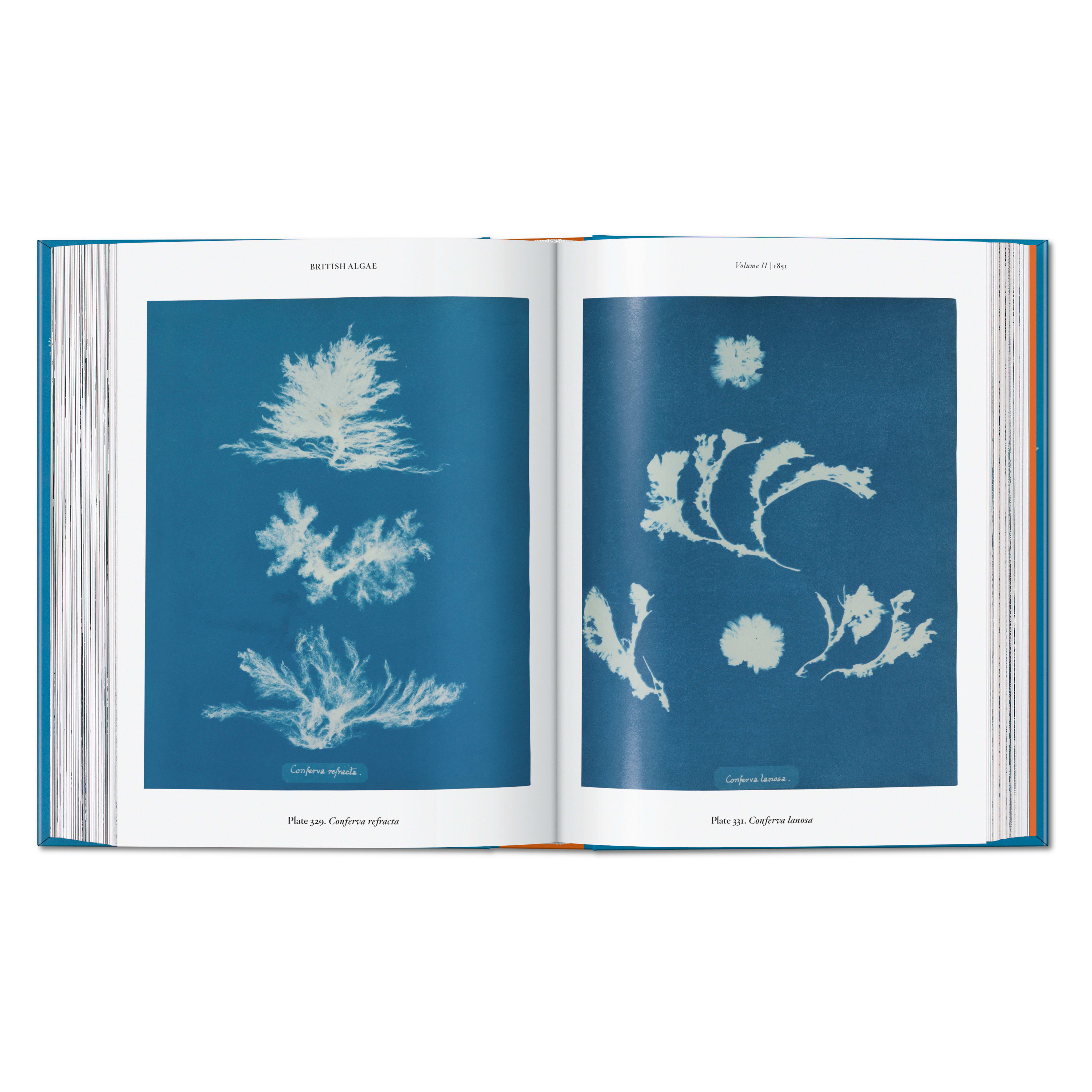 Anna Atkins. Cyanotypes. 45th Ed. (German, French, English)