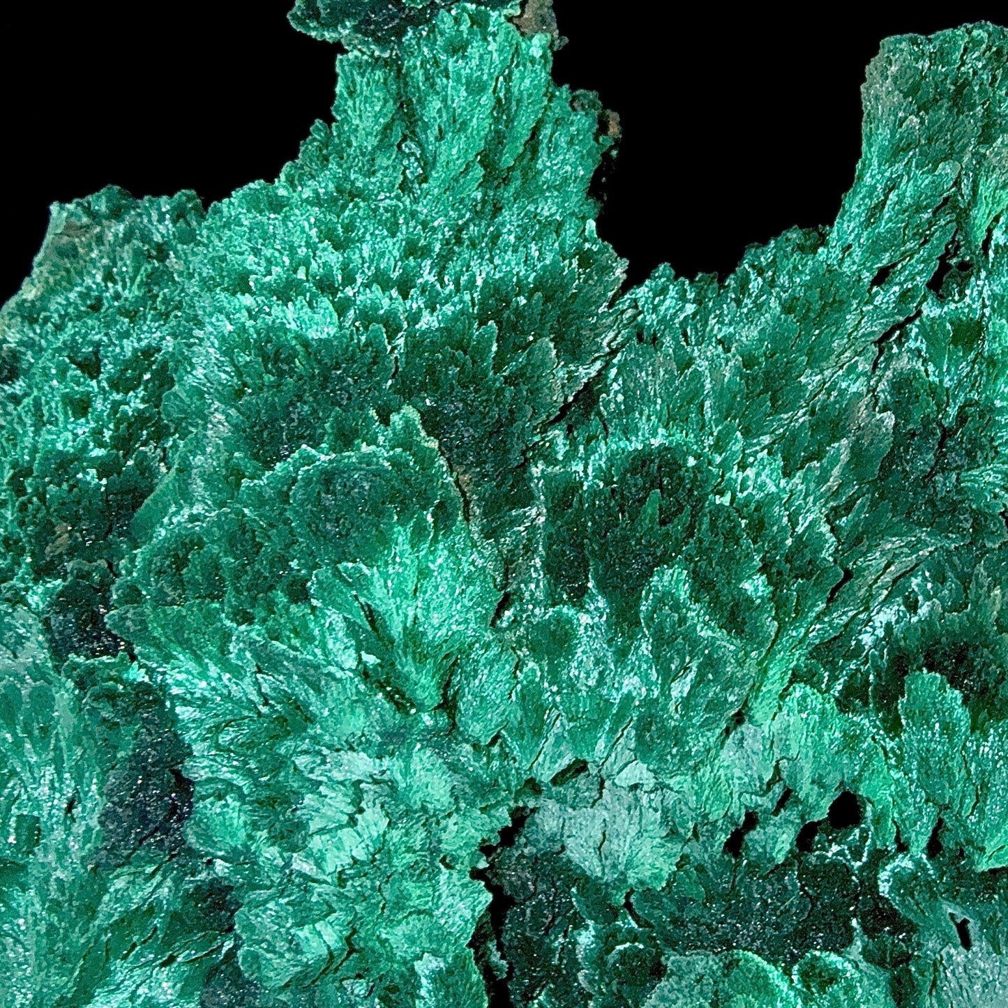 Fibrous Malachite Natural Mineral Specimen