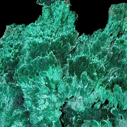 Fibrous Malachite Natural Mineral Specimen