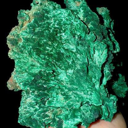 Fibrous Malachite Natural Mineral Specimen