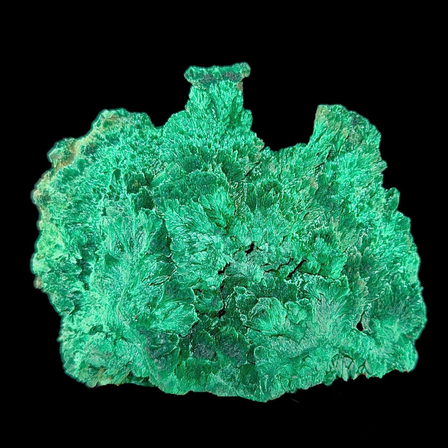 Fibrous Malachite Natural Mineral Specimen