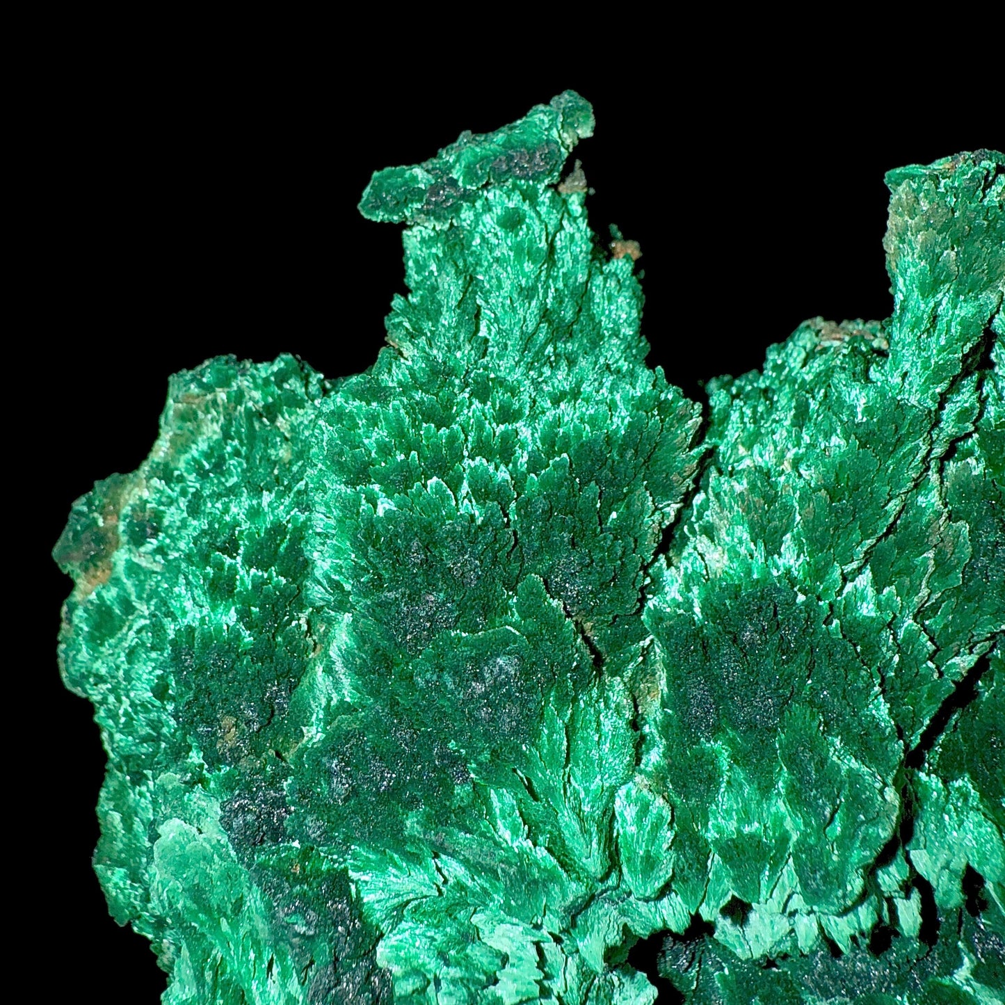 Fibrous Malachite Natural Mineral Specimen