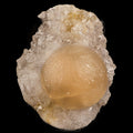 Fluorite balls on MM Quartz Natural Mineral Specimen # B 5939