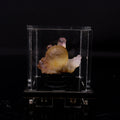 Fluorite Botryoidalon on Amethyst Natural Mineral Specimen # B 6719