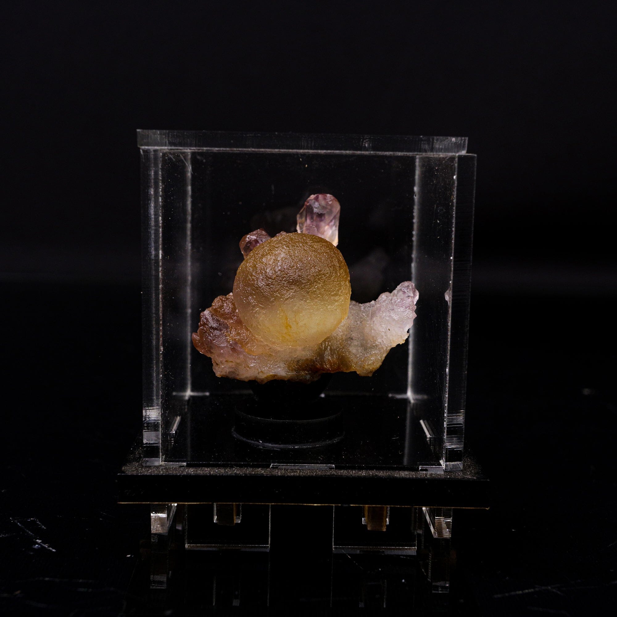 Fluorite Botryoidalon on Amethyst Natural Mineral Specimen # B 6719