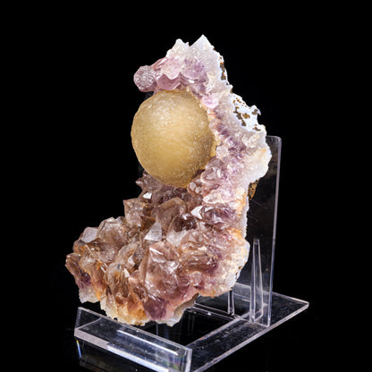 Fluorite on Amethyst Natural Mineral Specimen # B 6991