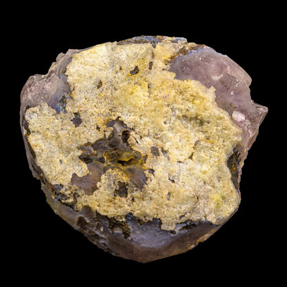 Fluorite On Amethyst Rare Natural Mineral Specimen, Default Title at Stemcell Science Shop