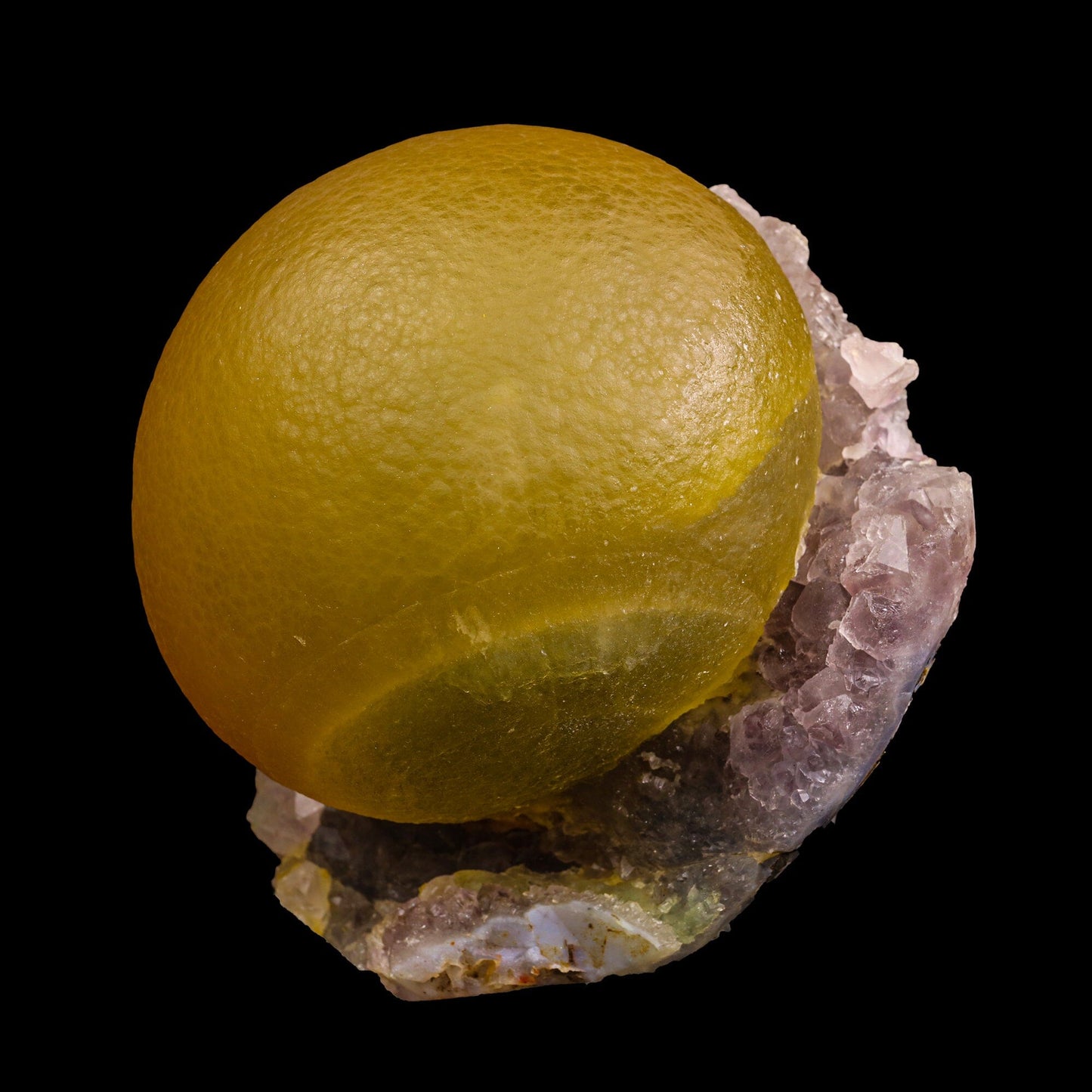 Fluorite On Amethyst Rare Natural Mineral Specimen, Default Title at Stemcell Science Shop