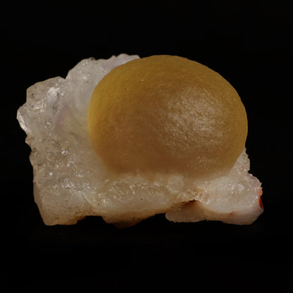 Fluorite (rare botryoidal) on Quartz  Natural Mineral Specimen  # B 5031