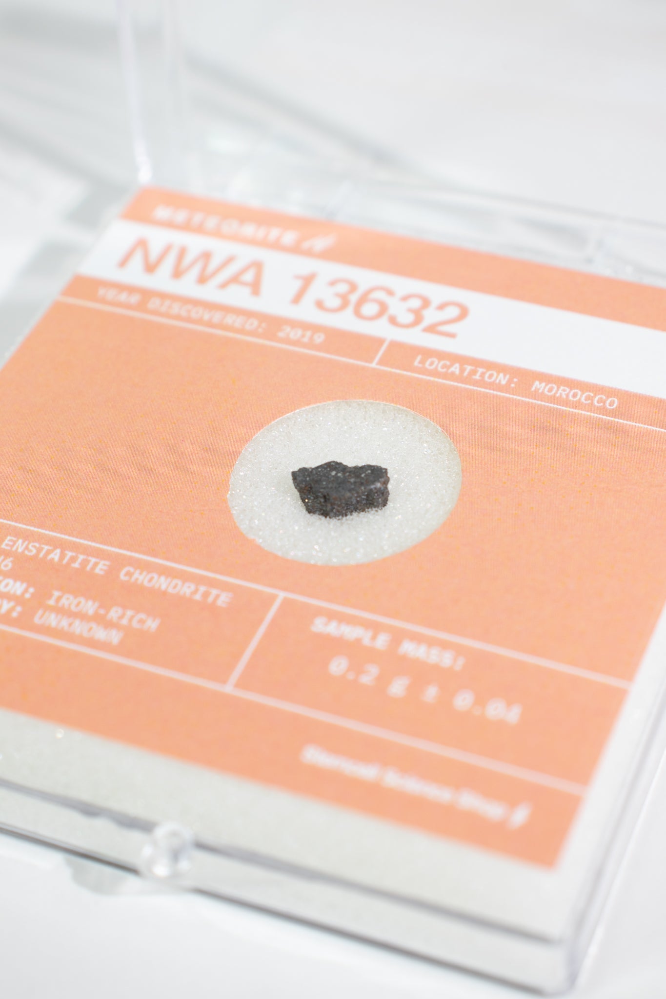 Fragment of the Early Solar System - Meteorites from Stemcell Science Shop