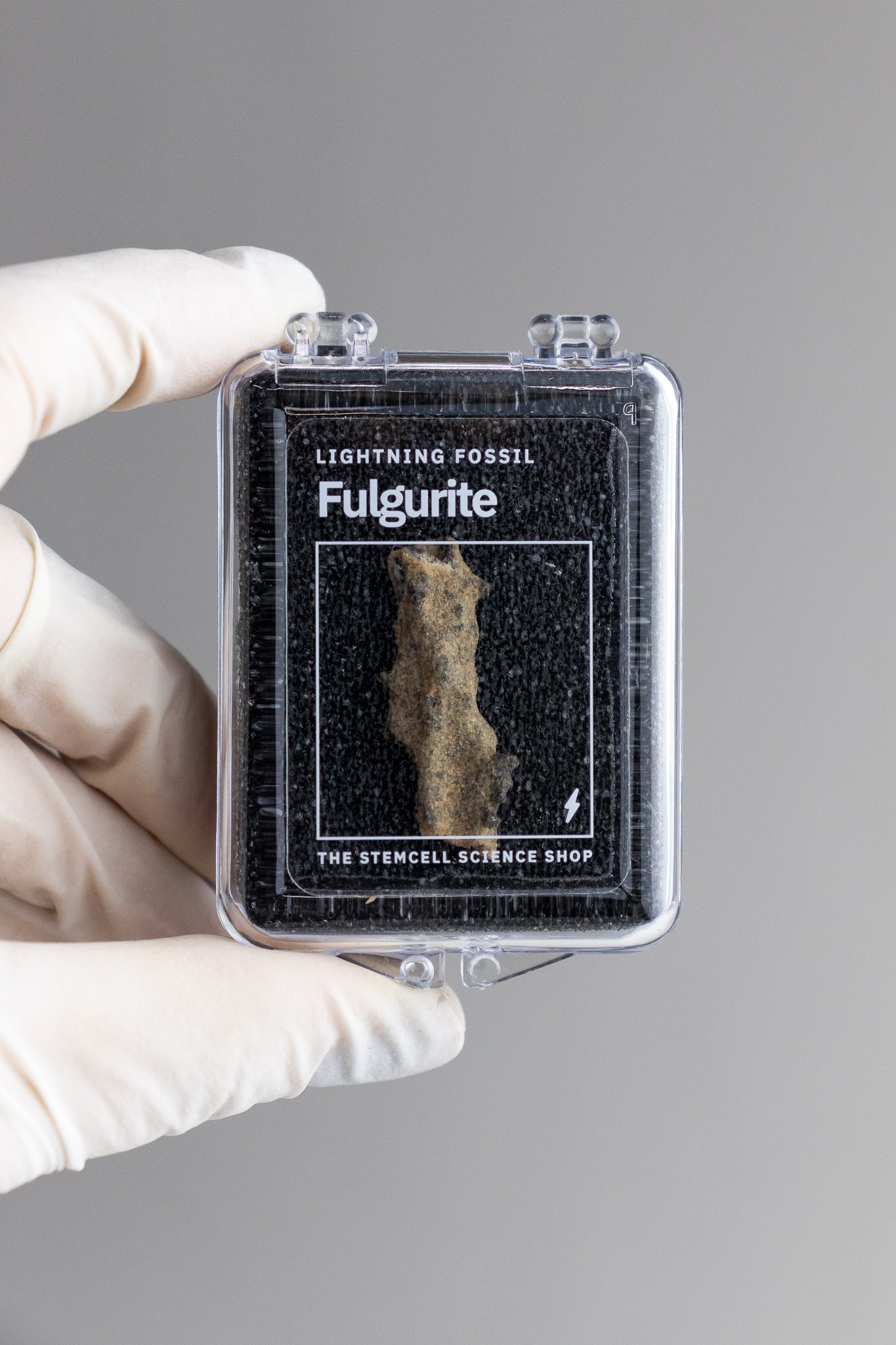 Fulgurite Fossil Stemcell Science Shop