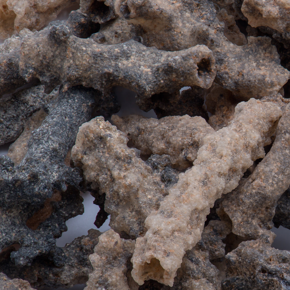 Petrified Lightning - Saharan Fulgurite Riker Box Specimen