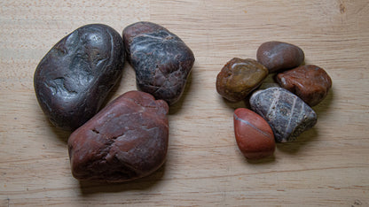 Dinosaur Gastrolith - Gut Stone