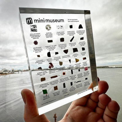 Mini Museum - Fifth Edition (LARGE - 34 Specimens)