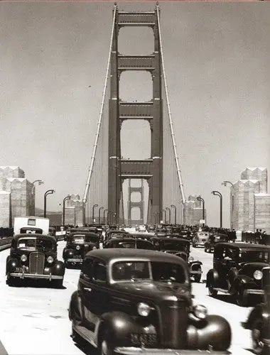 Golden Gate Bridge Cable Historic Artifacts Stemcell Science Shop