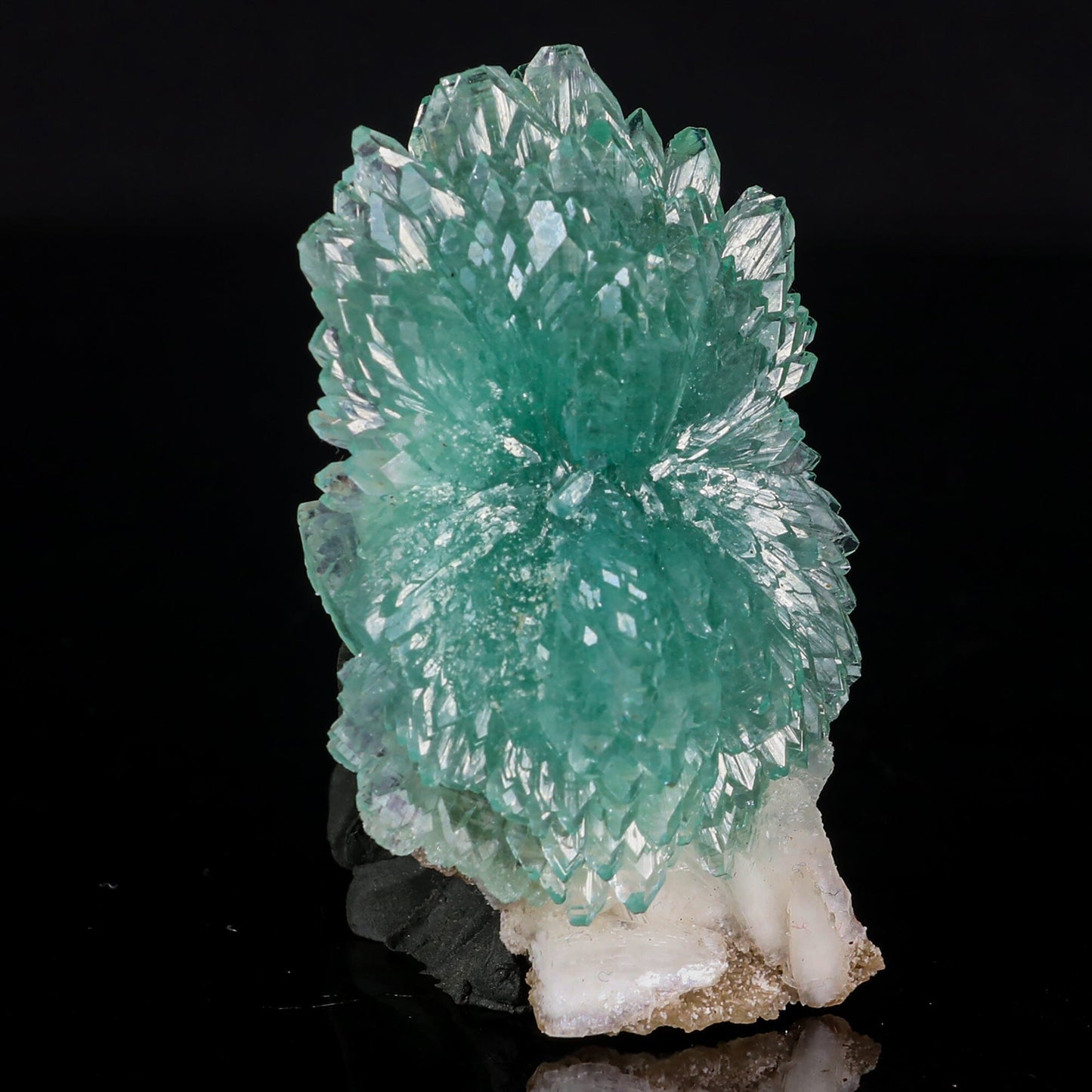 Green Apophyllite Bow with Stilbite Natural Mineral Specimen  # B 6843