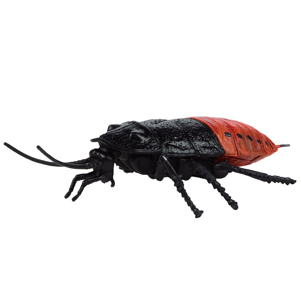 Gross Insects 3D Puzzle - Puzzle from Stemcell Science Shop