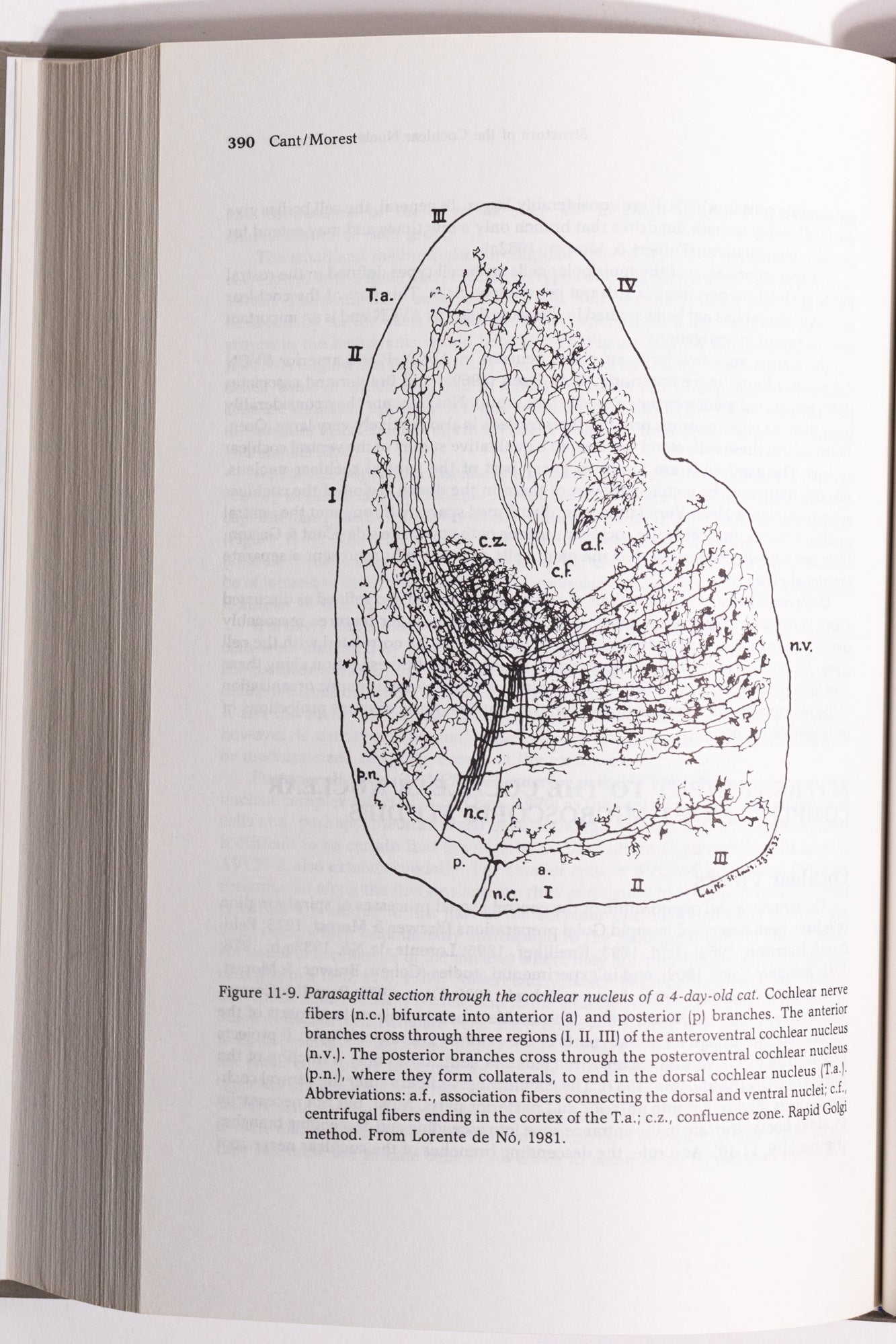 Hearing Science - Books from Stemcell Science Shop