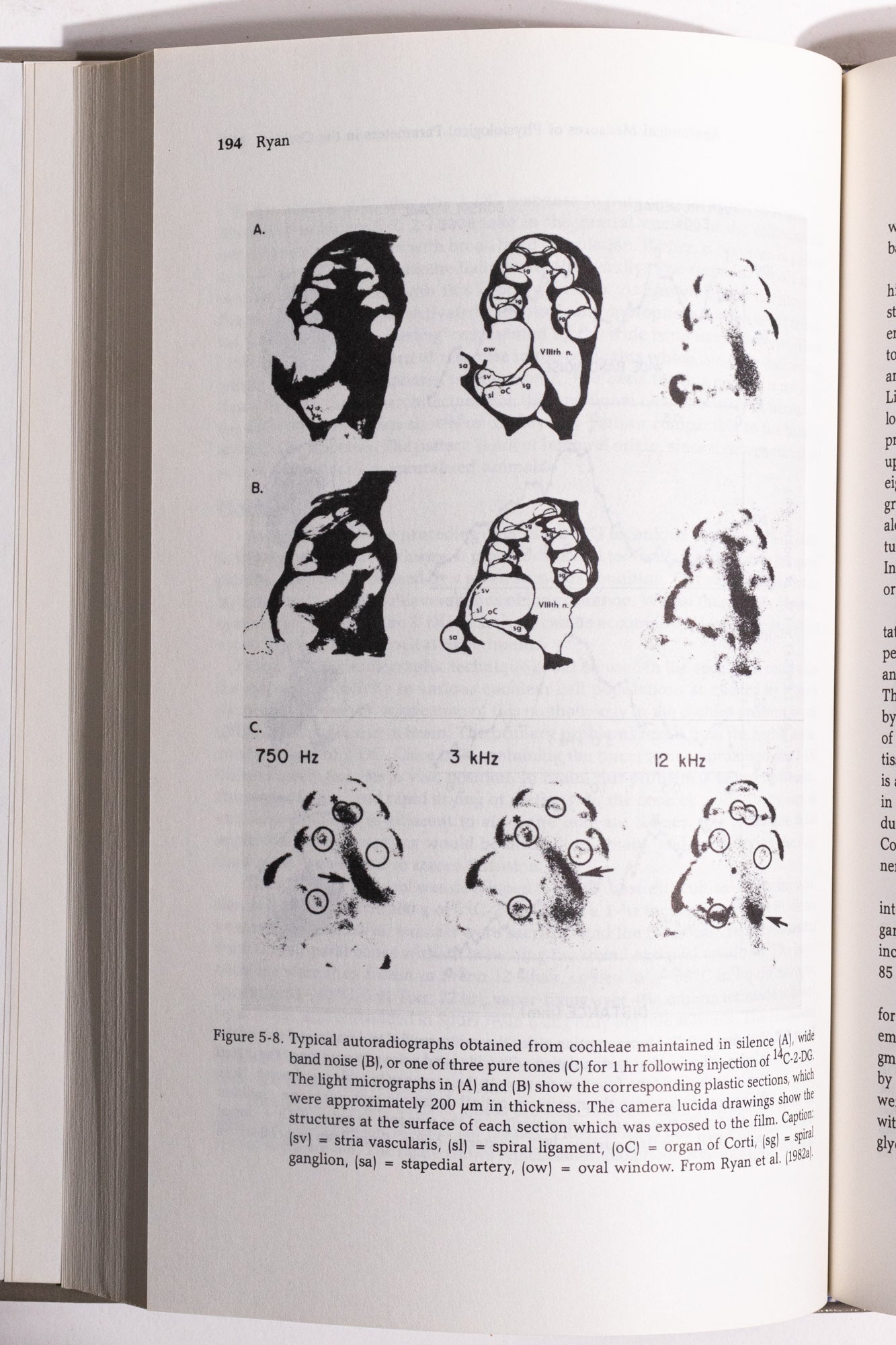 Hearing Science - Books from Stemcell Science Shop