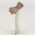 Heulandite Bow on Chalcedony Natural Mineral Specimen # B 6607