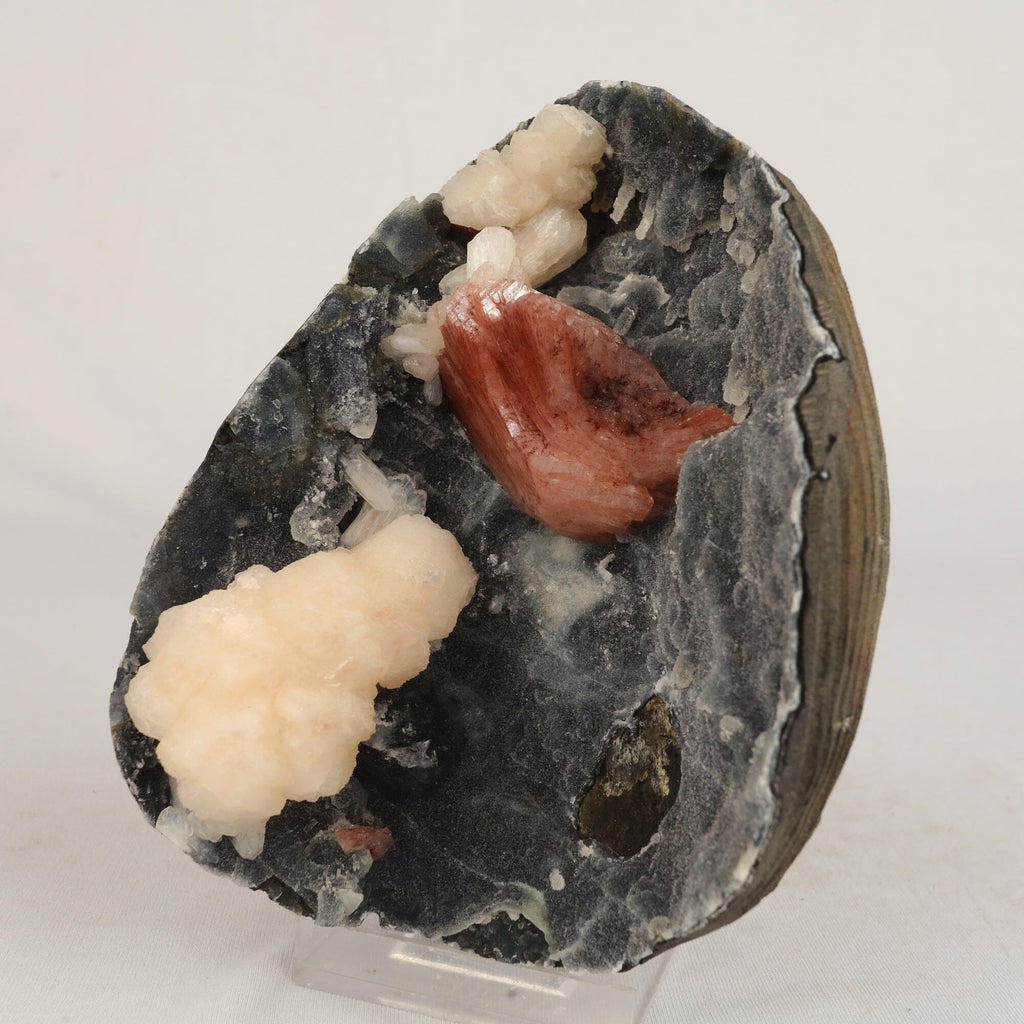 Heulandite Petals with Stilbite in Chalcedony geode Natural Mineral Specimen # B 6608