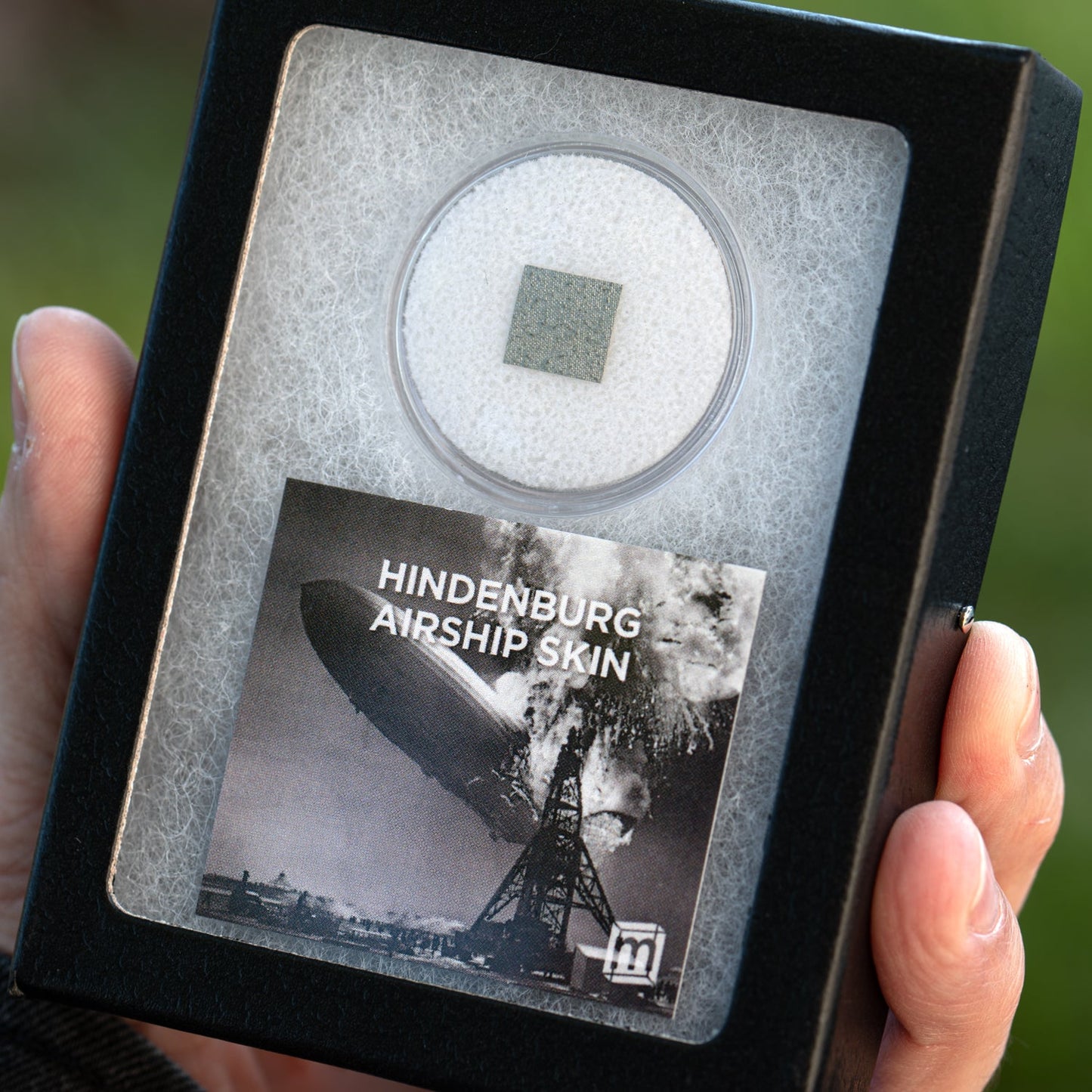 Hindenburg Airship Skin