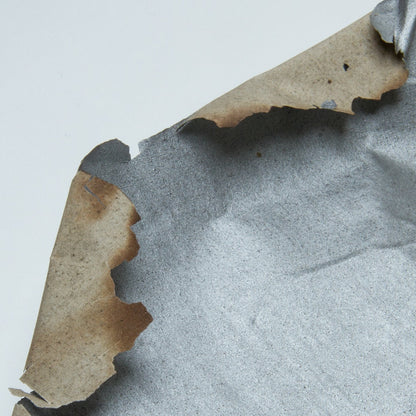 Hindenburg Airship Skin