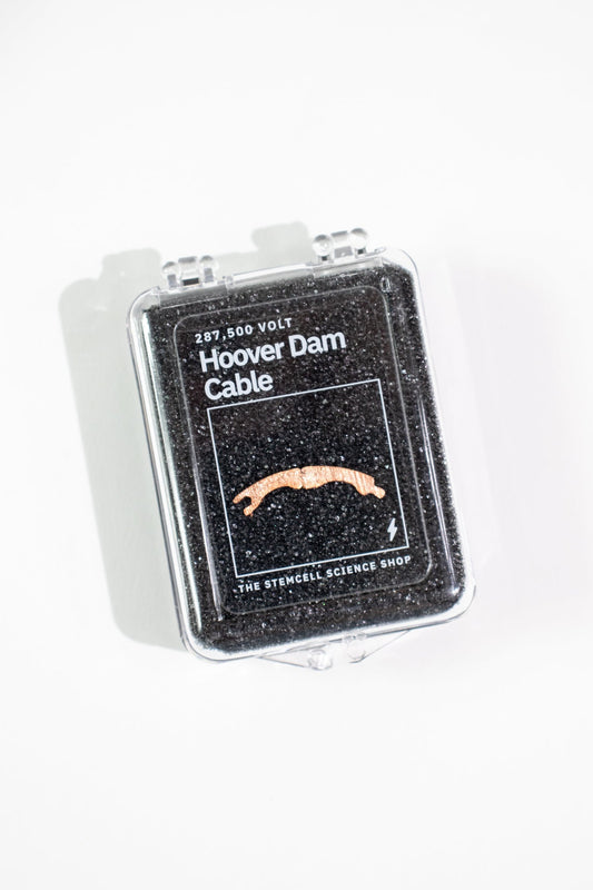 Hoover Dam Transmission Cable - Historic Artifacts from Stemcell Science Shop