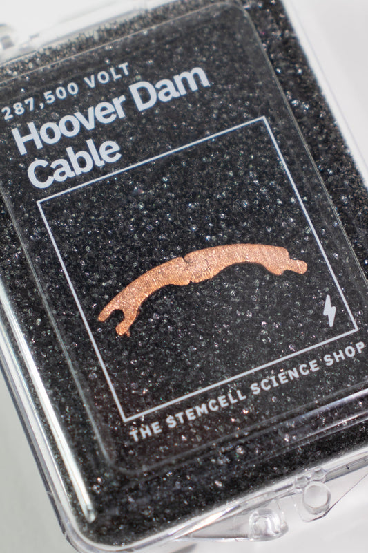 Hoover Dam Transmission Cable - Historic Artifacts from Stemcell Science Shop