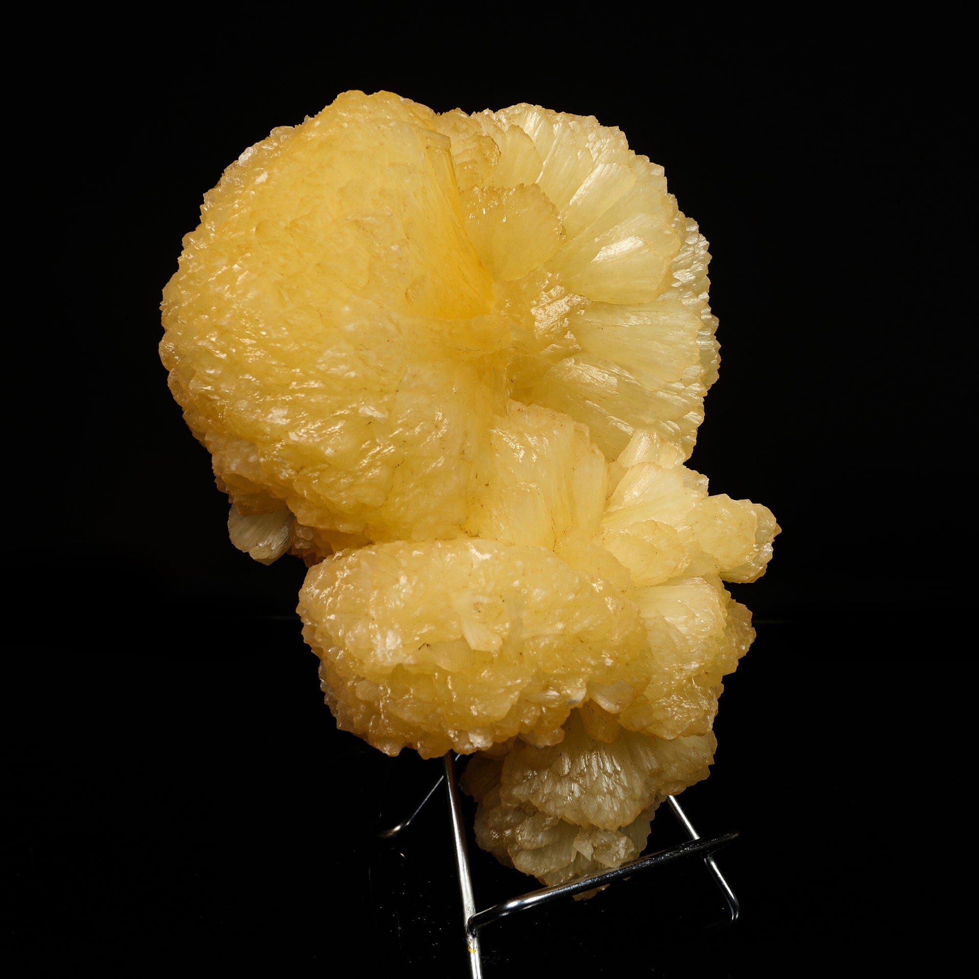 Huge Stilbite 'Bow-Tie' Natural Mineral Specimen # B 6776