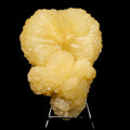 Huge Stilbite 'Bow-Tie' Natural Mineral Specimen # B 6776