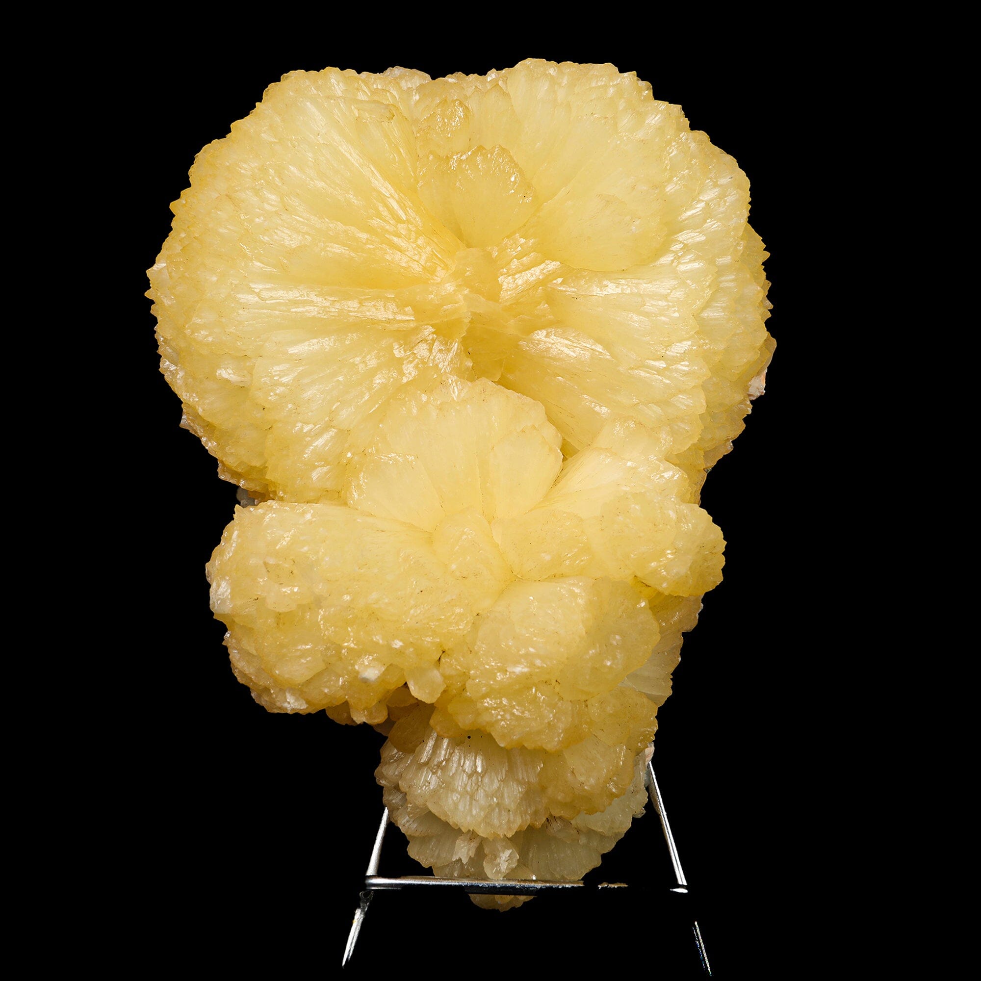 Huge Stilbite 'Bow-Tie' Natural Mineral Specimen # B 6776