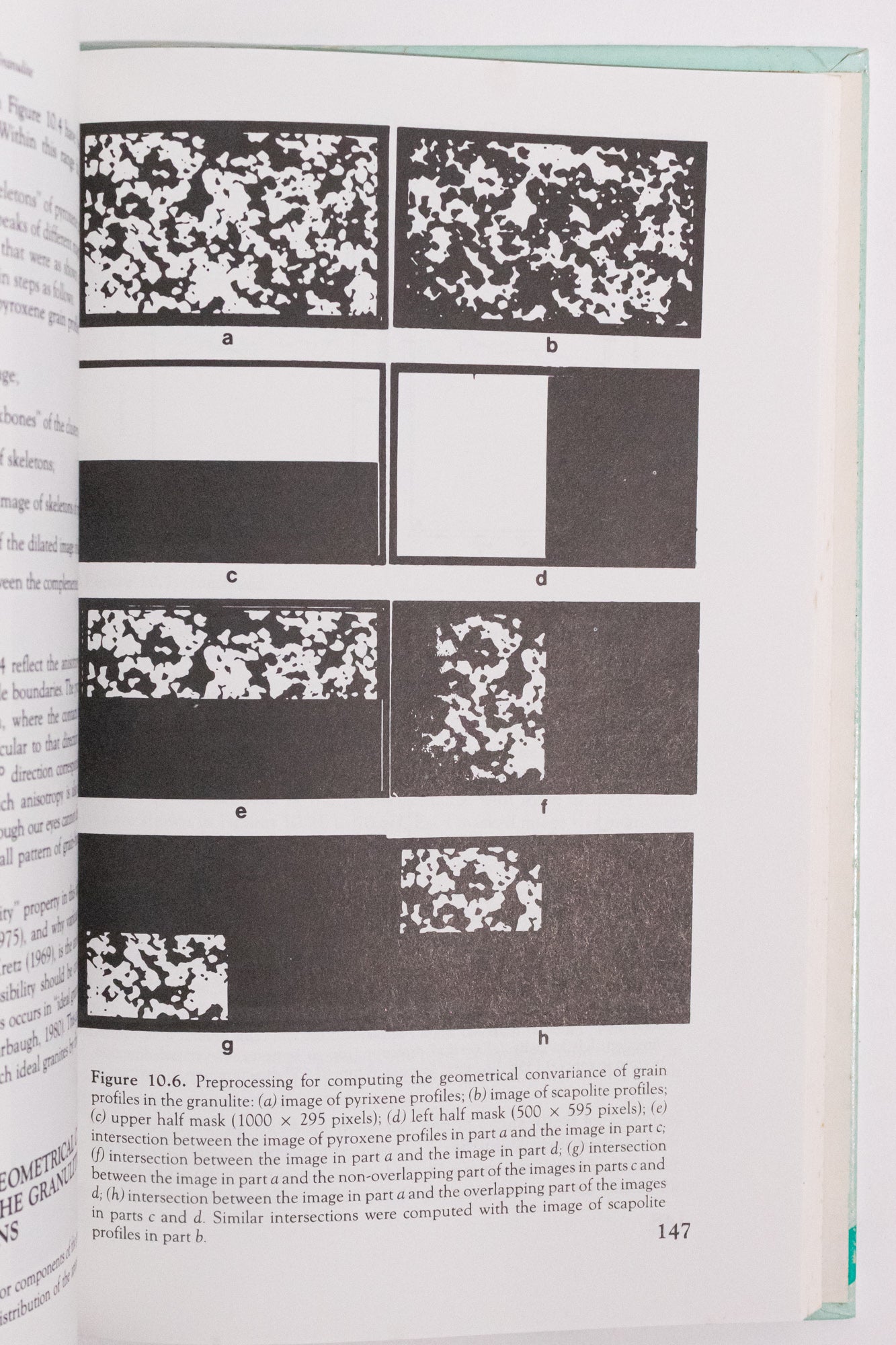 Image Processing of Geological Data Books Stemcell Science Shop