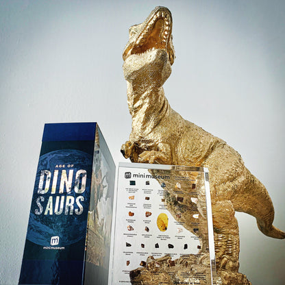 Mini Museum - Age of Dinosaurs (LARGE - 32 Specimens)