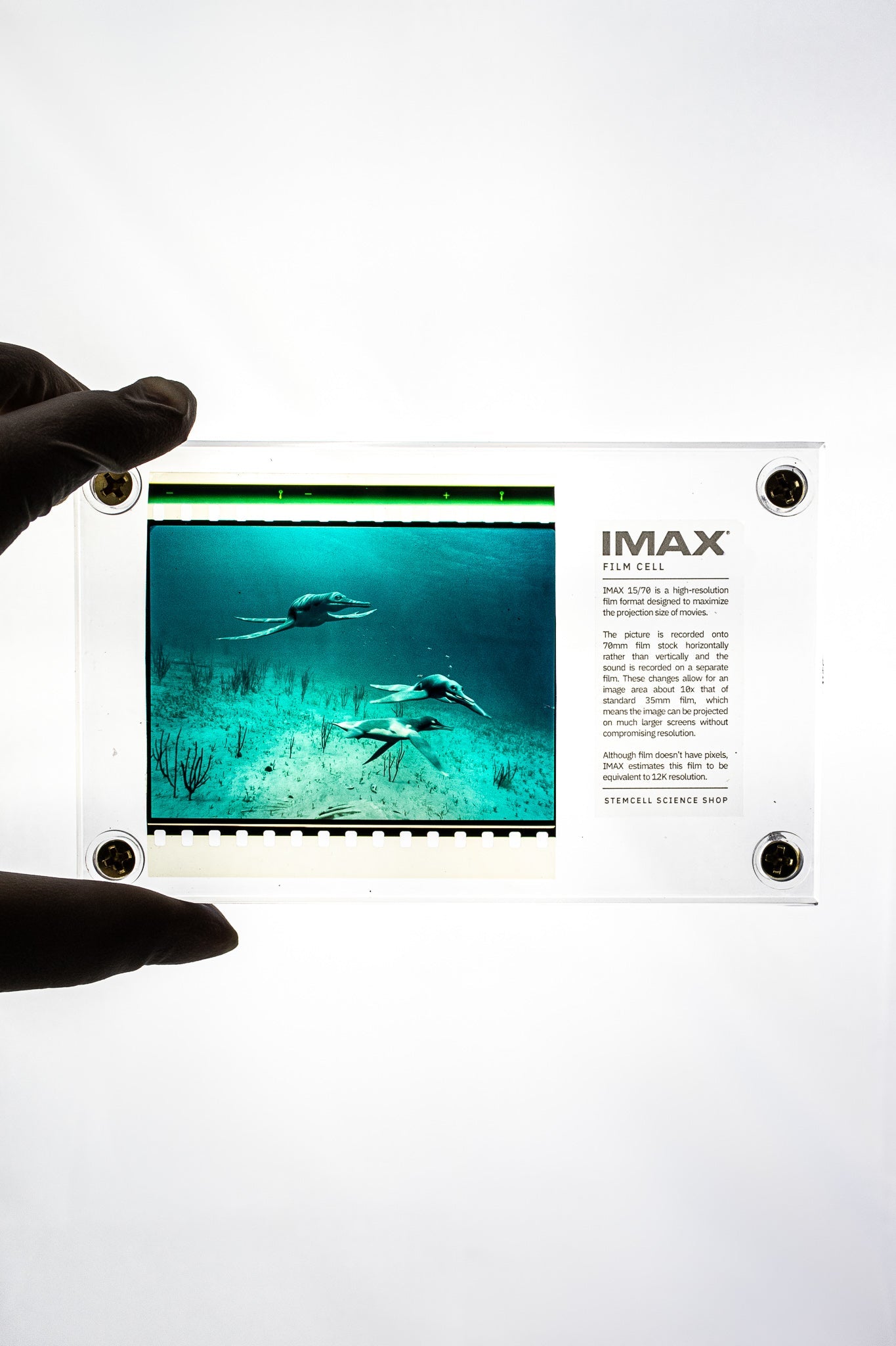 IMAX Film Cell Historic Artifacts Stemcell Science Shop