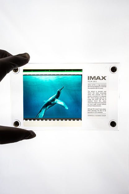 IMAX Film Cell Historic Artifacts Stemcell Science Shop