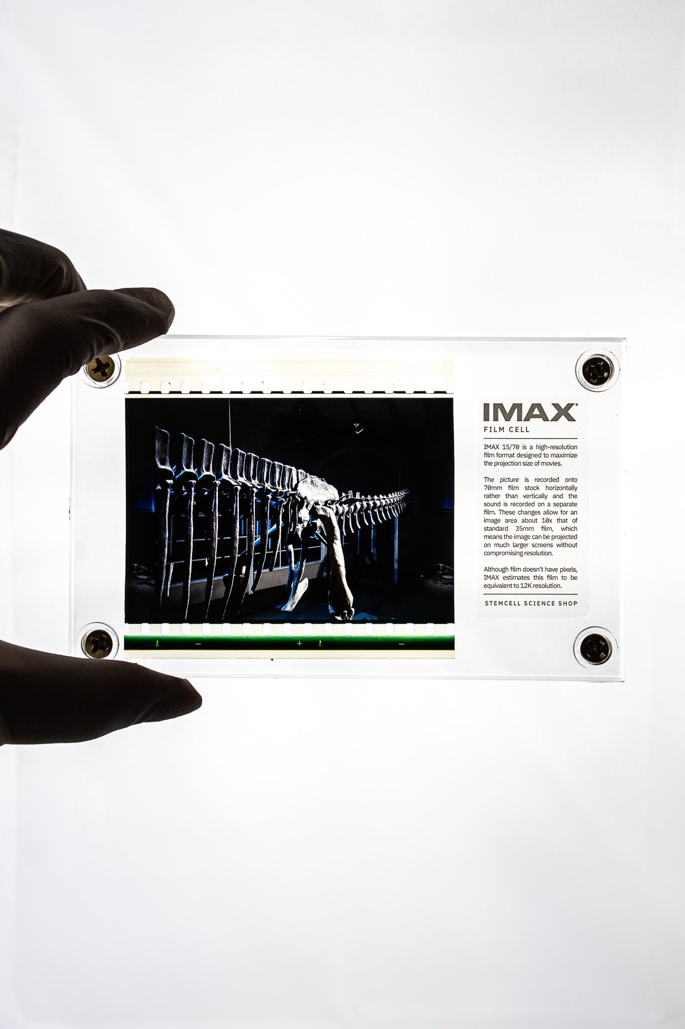 IMAX Film Cell Historic Artifacts Stemcell Science Shop